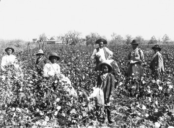 USA: Sklaven bei der Baumwollernte