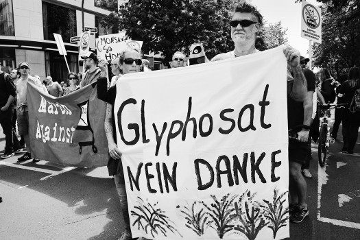 Protest in Düsseldorf gegen Profit mit Pflanzengiften