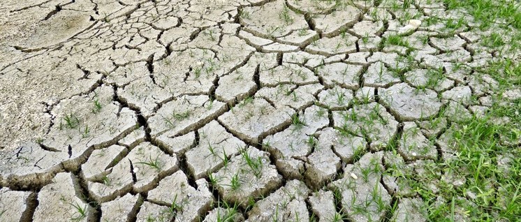 Dürre, Überschwemmungen, Extremwetter, Artensterben, Waldbrände … Was kostet der Klimawandel?