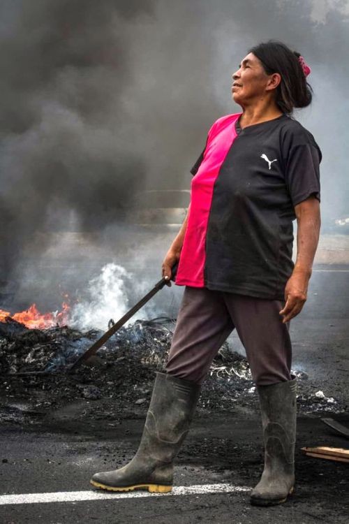 Mit Protesten, Straßensperren und Generalstreik zwangen die Ecuadorianer Präsident Moreno zur Rücknahme des Sparpakets.