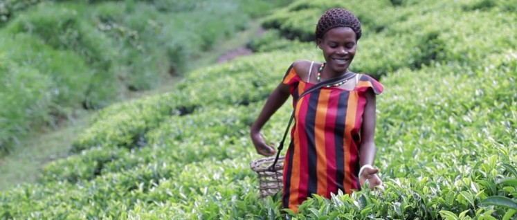 Der Selbstdarstellung der Gates-Stiftung zufolge haben alle was zu lachen: Die Stifter ebenso wie die Landfrau in Uganda. (Foto: vimeo)