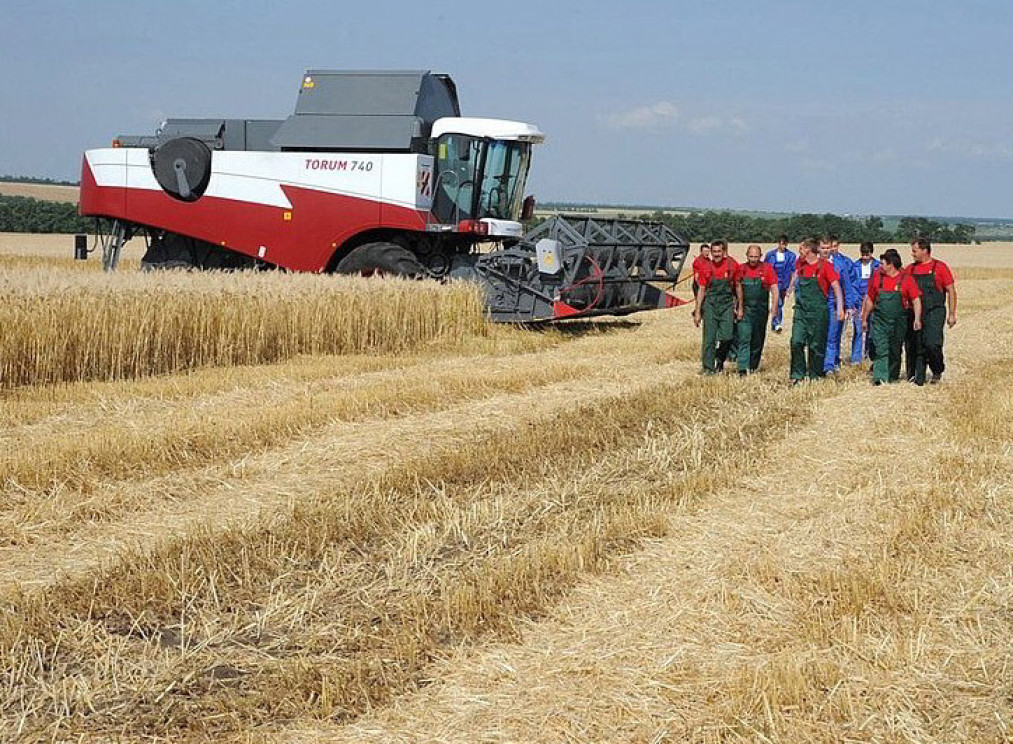 Dank westlicher Sanktionen ist die russische Landwirtschaft im Aufwind