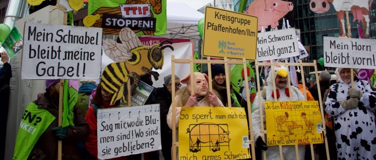 Am 16. Januar haben in Berlin zehntausende gegen konventionelle Landwirtschaft protestiert. Unter dem Motto „Wir haben es satt“ zogen die Bauern und Umweltschützer vom Potsdamer Platz zum Bundeskanzleramt. (Foto: Gabriele Senft)