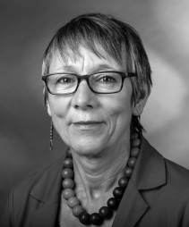 Annette Groth ist menschenrechtspolitische Sprecherin der Fraktion der Partei „Die Linke“ im Deutschen Bundestag