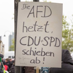 Proteste gegen die AfD in Köln: Die AfD ist nur ein Teil des Problems
