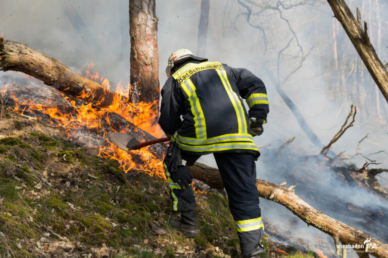 330401 brand n - Lichterloh - Waldbrände - Waldbrände