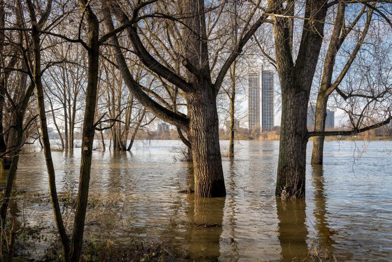 010401 Hochwasser - „Eklatante Defizite“ - Katastrophen - Katastrophen