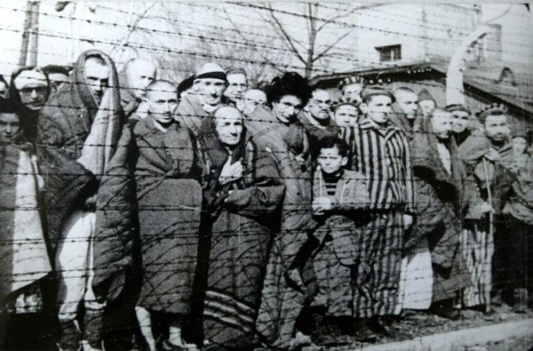 Auschwitz Liberated January 1945 - Skandalöses „Gedenken“ - Antirussische Propaganda - Antirussische Propaganda